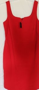 The Limited Dress NWT